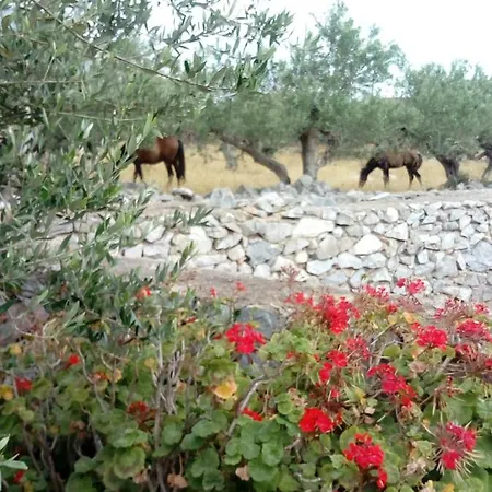 Charouda Stone Tower Pírgos Dhiroú