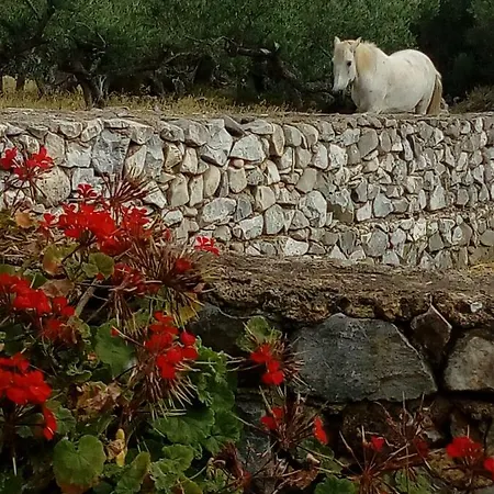 Charouda Stone Tower * Pyrgos Dirou