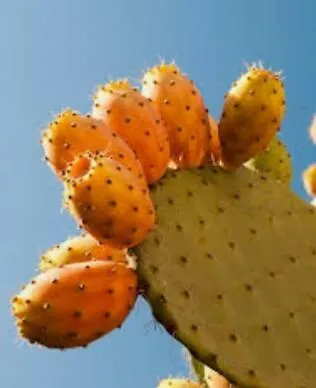 דירה Charouda Stone Tower Pírgos Dhiroú