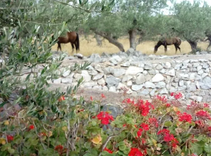 Charouda Stone Tower Pírgos Dhiroú