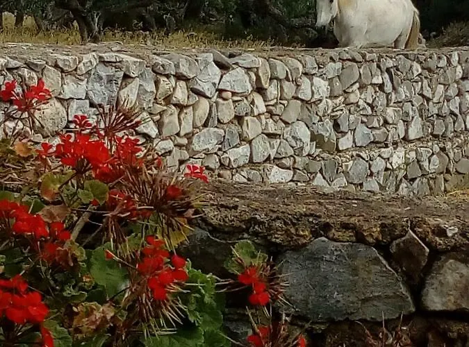 Charouda Stone Tower * Pírgos Dhiroú